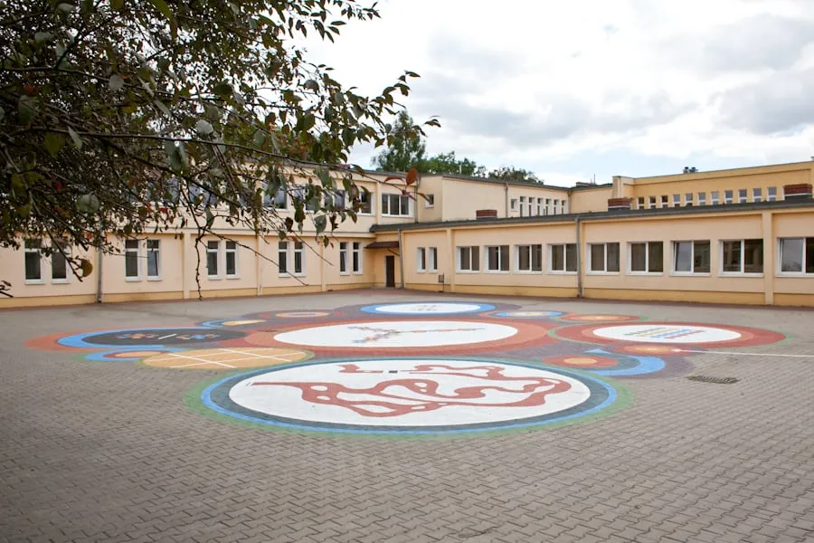 Kolorowe koła na boisku widziane spod drzewa